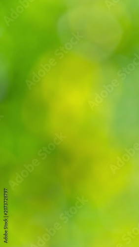 Soft green bokeh background featuring blurred foliage and warm sunlight tones...