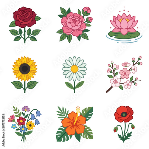 Colorful flowers and blossoms.