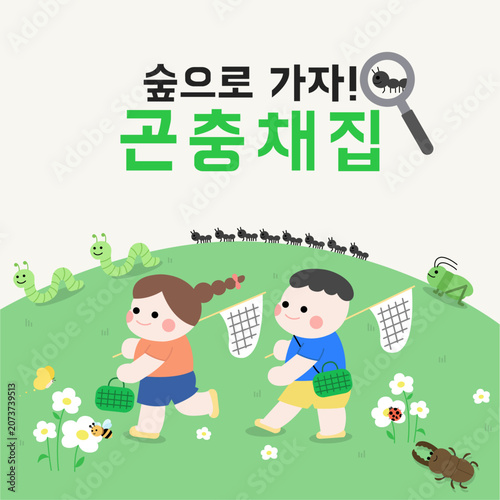 곤충채집