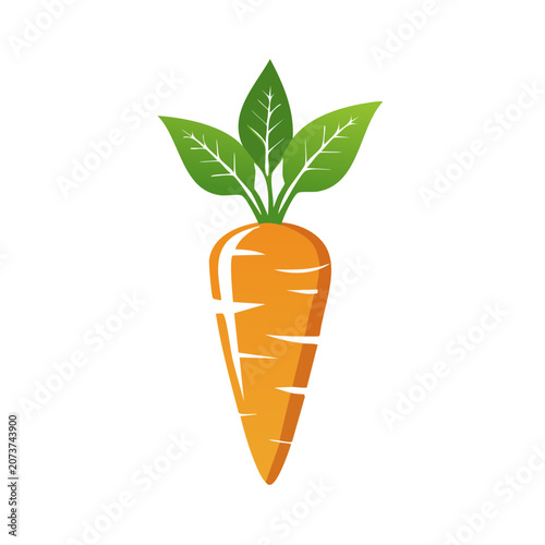 Orange Carrot with Green Leaves Vector Illustration