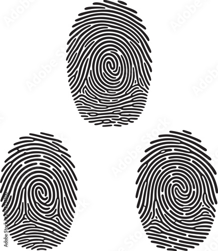 Set of three distinct fingerprint ridge patterns in black ink on white background with fingerprint biometric identity security thumbprint detection identification forensic recognition