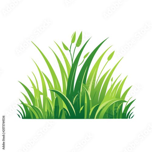Green Grass Vector Illustration