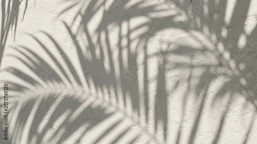 Botanical Sunlight Shadow Background Animation