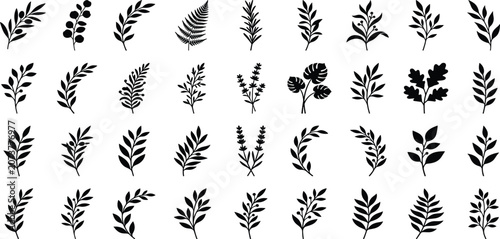 Botanical leaves and branches black silhouette vector elements set with fern foliage twigs