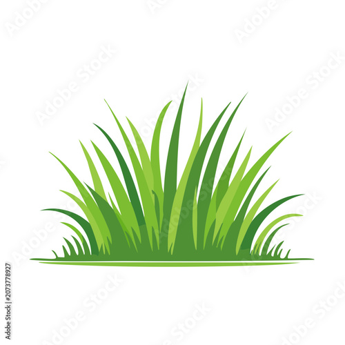 Green grass blades vector illustration