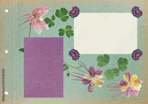 Photo album with empty photo frames with corners. Page for stories.  Scrapbook, floral elements. Page from old photo album. Dried pressed aquilegia flowers. Postcard, banner, poster, invitations.