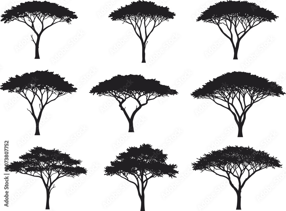 Obraz premium Black acacia tree silhouettes, isolated African savanna trees, flat vector design, nature landscape elements, tropical forest outlines, exotic vegetation icons, minimalist plant shapes art.