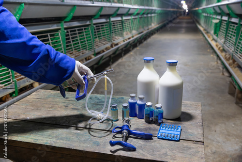 Schilderij op canvas The bird flu primarily H5N1 mostly affected poultry