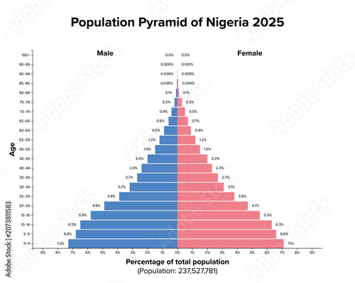 Tablou pe pânză Nigeria, population pyramid 2025