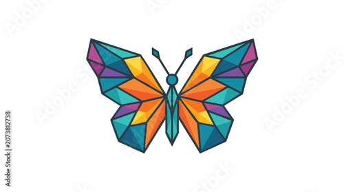A colorful butterfly with geometric wings spreads its vibrant wings.