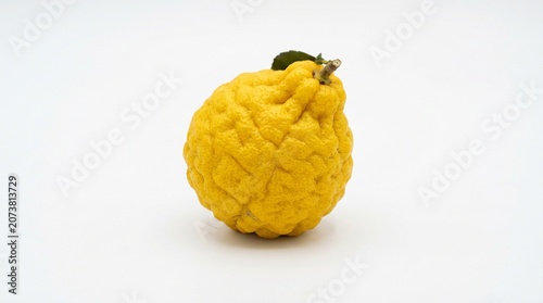 fruit on white background