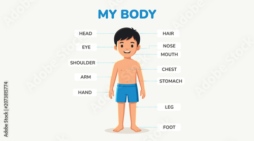 Human body parts diagram for kids education