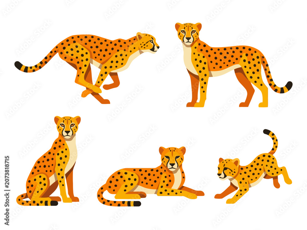 Obraz premium A collection of stylized cheetah illustrations showing various poses including running sitting lying down and playing.