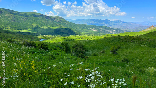 Panoramic Green Mountain Valley with Wildflowers and Blue Sky
