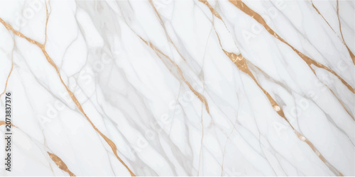 Obraz na plátně White statuario marble texture background, Thassos quartzite, Carrara  Premium, Glossy statuary limestone marbel, Satvario tiles, Italian blanco catedra stone pattern, Calacatta Gold Borghini Italy