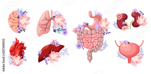 A set of human organs decorated with flowers. Vector illustration.