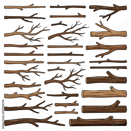 Collection of Wooden Tree Branches and Twigs
