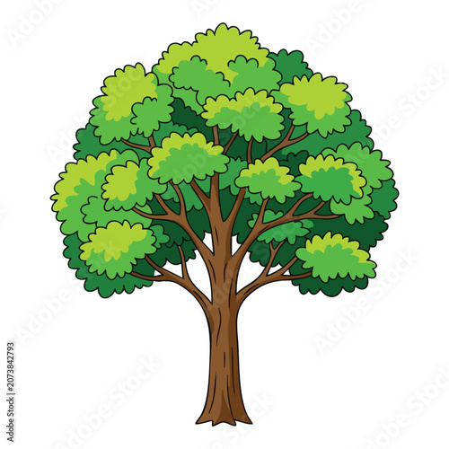Green Tree with Thick Foliage Illustration