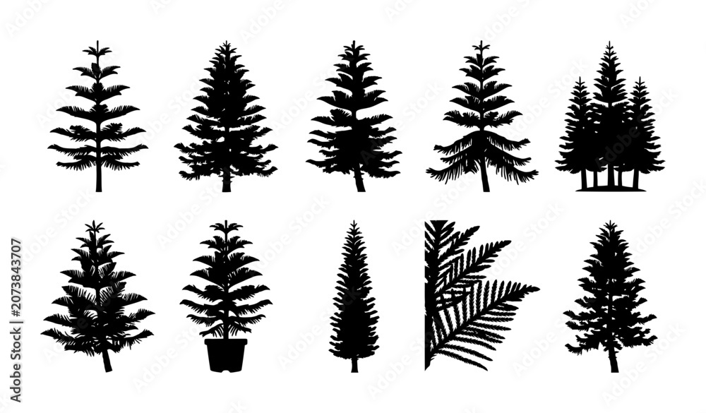 Obraz premium Evergreen Tree Silhouette Vector Collection Set Featuring Pine and Fir Conifer Forest Plant Shapes