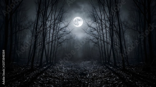 Eerie moonlit forest scene with bare trees and fog dramatic night landscape