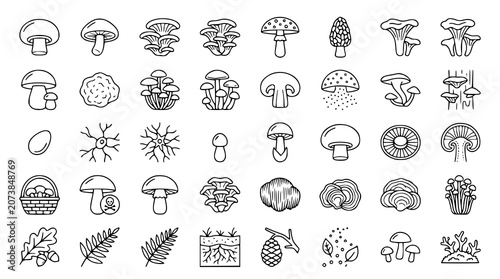 Foto Editable Mushroom Linear Icon Pack with Wild Fungi Botanical and Woodland Elemen