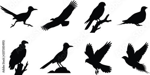 Foto Wild Bird Silhouette Collection Featuring Crow Eagle Raven Dove and Perched Bird
