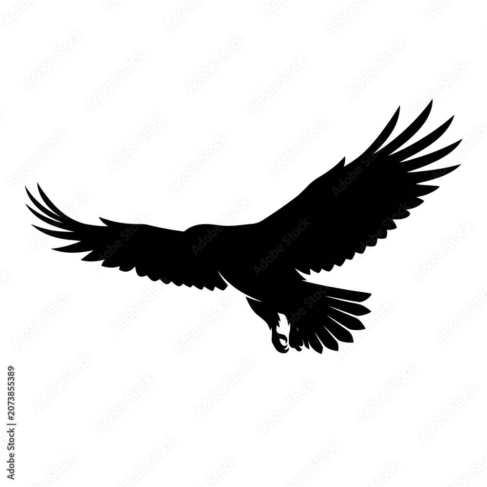 Fototapeta premium Black eagle silhouette, flying bird icon, wildlife symbol, vector graphic isolated on White Background
