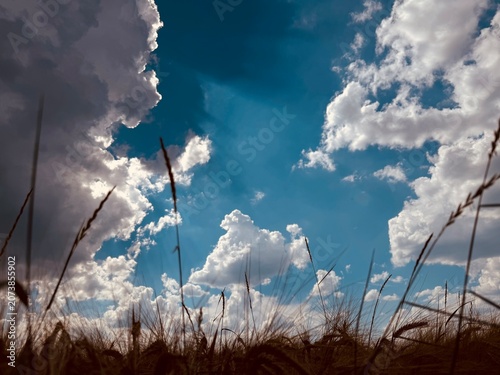 sky and clouds