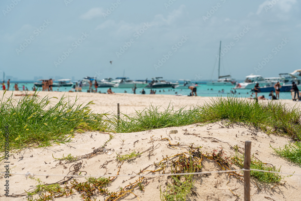 Fototapeta premium Beautiful Caribbean beach Playa Norte or North beach on the Isla Mujeres near Cancun, Mexico