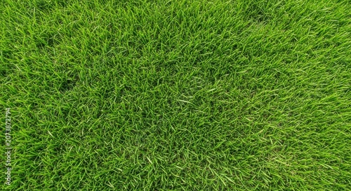 Vibrant Lush Green Grass Texture Background for Professional Landscaping and Garden Design
