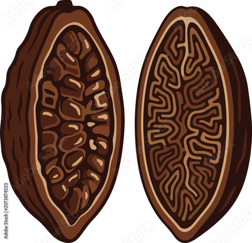 Cocoa pods showing internal beans and maze pattern
