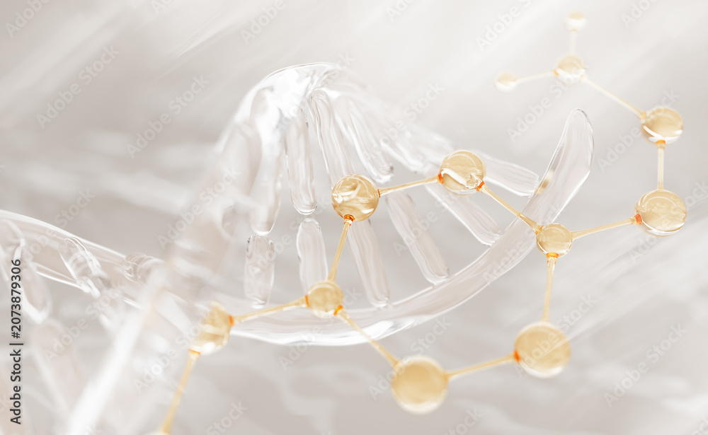 Fototapeta premium Transparent DNA helix strand structure with gold molecule. Bio cosmetic lab 3d background. Beauty oil, genetic serum with hyaluronic acid, collagen peptides. Biotech, skincare science. 3D Illustration