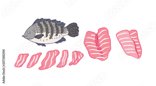 Collection of raw Tilapia fish 