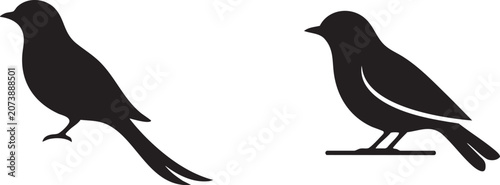 Bild auf Leinwand Minimalist, black, bird, silhouettes, set, featuring, sparrow, robin, swallow, p