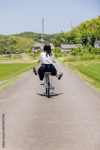 田園風景の通学路を自転車で帰る女子高校生の後ろ姿