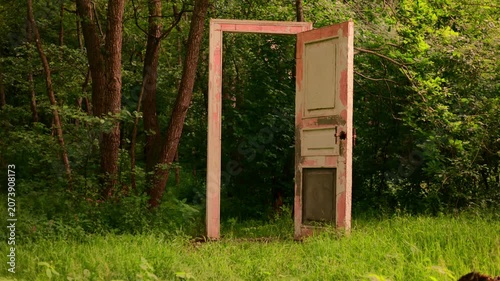 Old wooden door frame standing alone in a green forest clearing. Conceptual portal leading to nature. Surreal gateway entrance in the middle of a woodland trees.