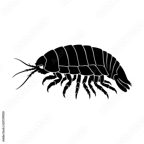 Tablou pe pânză Black shrimp, crustacean icon, seafood symbol, vector illustration isolated on W