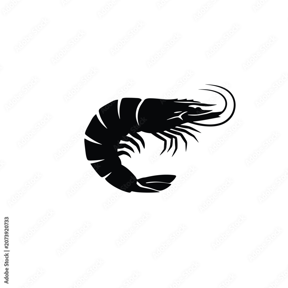 Fototapeta premium Adobe Illustrator Artwork