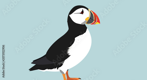 Atlantic puffin illustration on pale teal background.