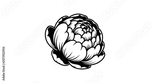 Foto Black and white artichoke head illustration sketch