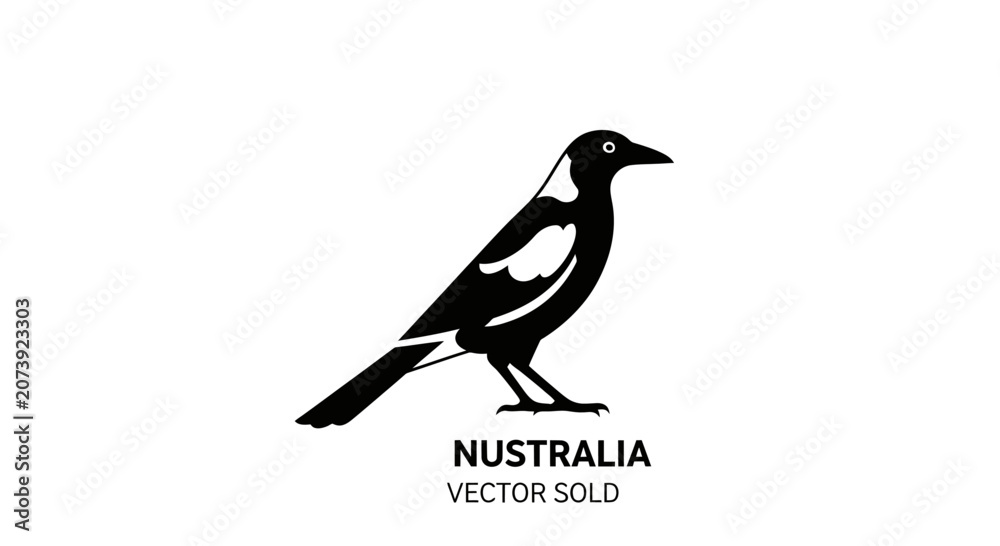 Obraz premium Australian magpie bird silhouette on white background