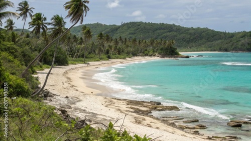 Tableau sur toile View of Baracoa beach at Alejandro de Humboldt National Park Baracoa Cuba