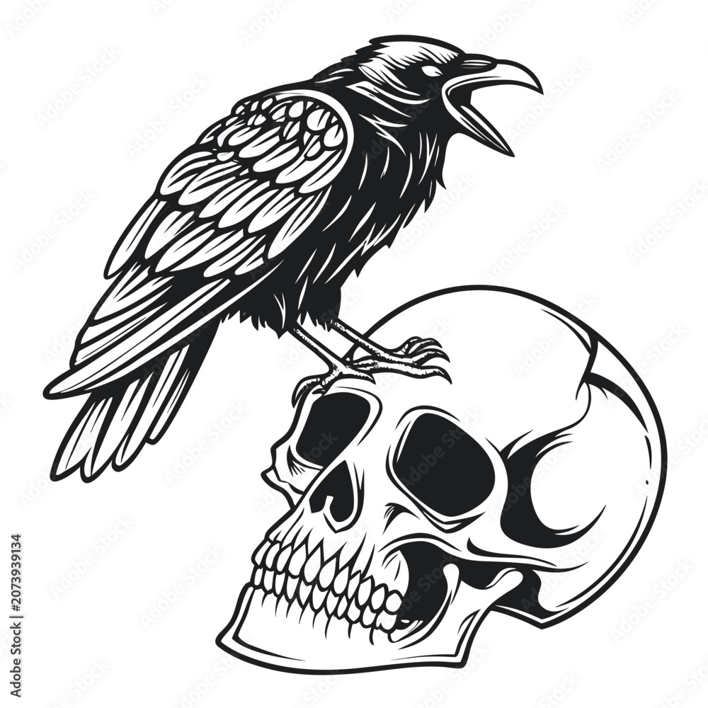 Fototapeta premium Raven perched on a human skull