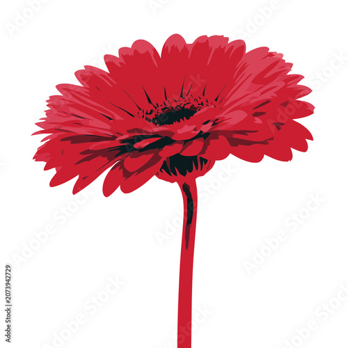 Red Gerbera Daisy Vector Illustration