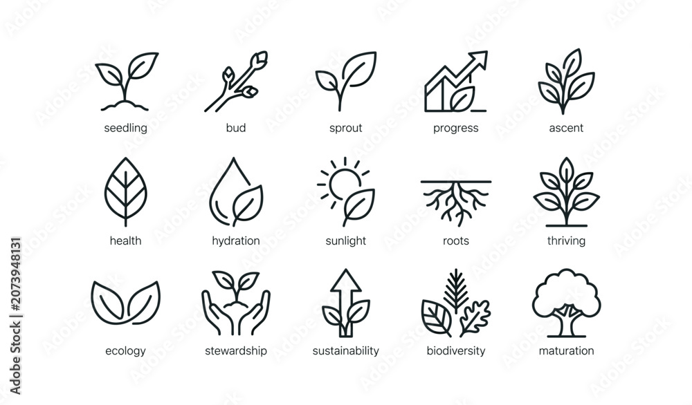 Fototapeta premium Growth and ecology icons illustrating plant development stages on white