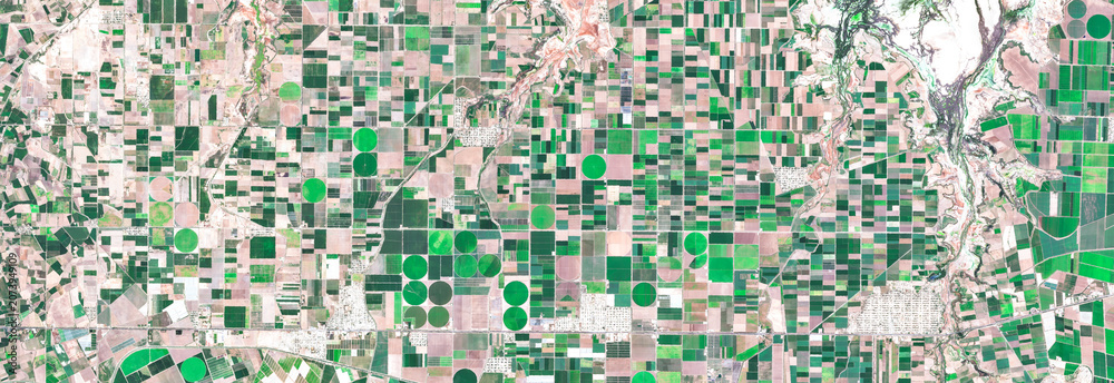 Fototapeta premium Greeley fields, US, Circular pivot irrigation fields