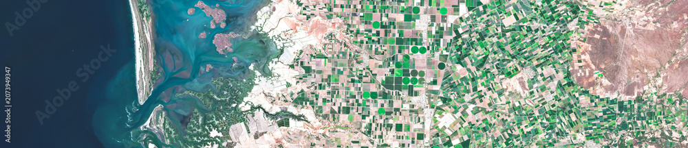 Naklejka premium Greeley fields, US, Circular pivot irrigation fields