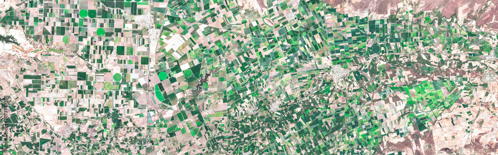 Naklejka premium Greeley fields, US, Circular pivot irrigation fields