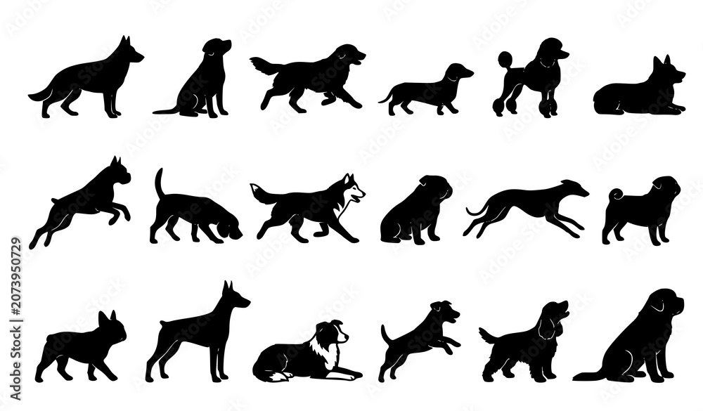 Obraz premium Black Dog Silhouette Collection with Running Sitting Standing Jumping and Lying Poses Isolated Vector Set