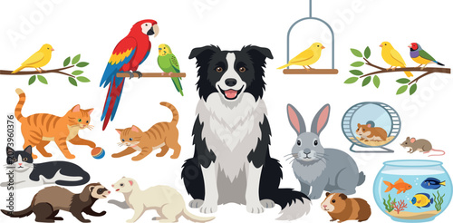 Domestic pets and cute animals vector illustration collection featuring a border collie dog domestic cats colorful birds rabbit ferrets hamster and goldfish bowl (23 words)